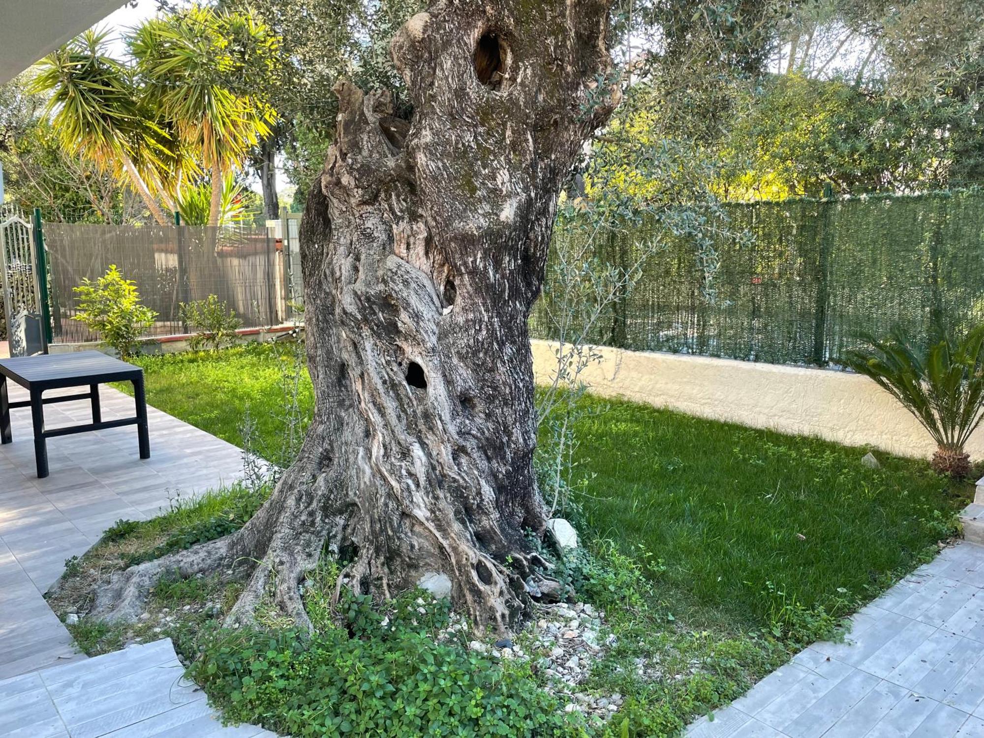 Joli Rez De Jardin 4 Pieces A Cagnes Sur Mer Luaran gambar